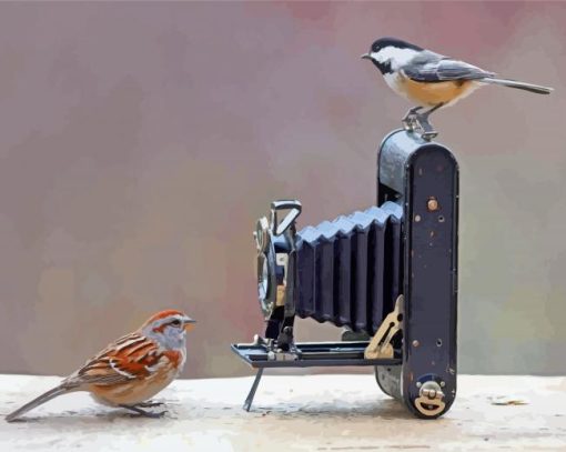 Birds And Camera Diamond Painting