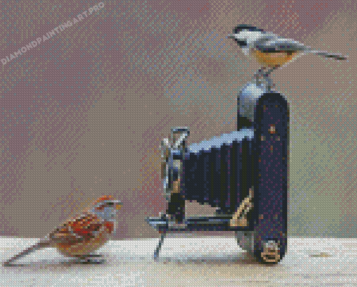 Birds And Camera Diamond Painting