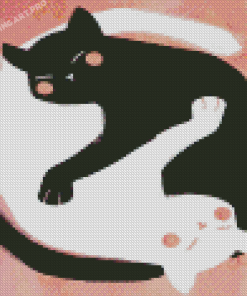 Black And White Yin And Yang Cats Diamond Painting