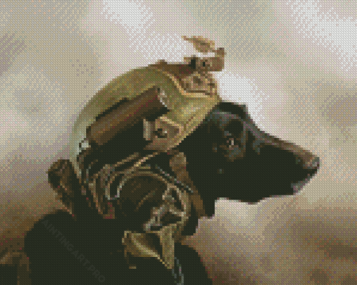 Black Army Dog Diamond Painting