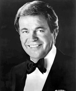 Black And White Actor Robert Wagner Diamond Painting