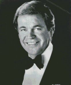 Black And White Actor Robert Wagner Diamond Painting