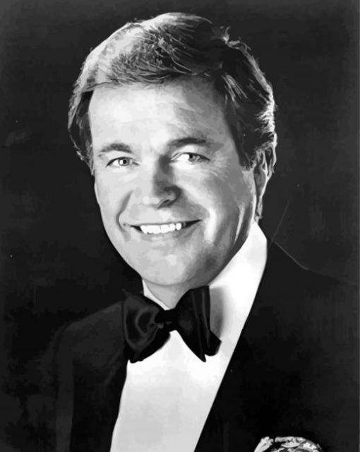 Black And White Actor Robert Wagner Diamond Painting