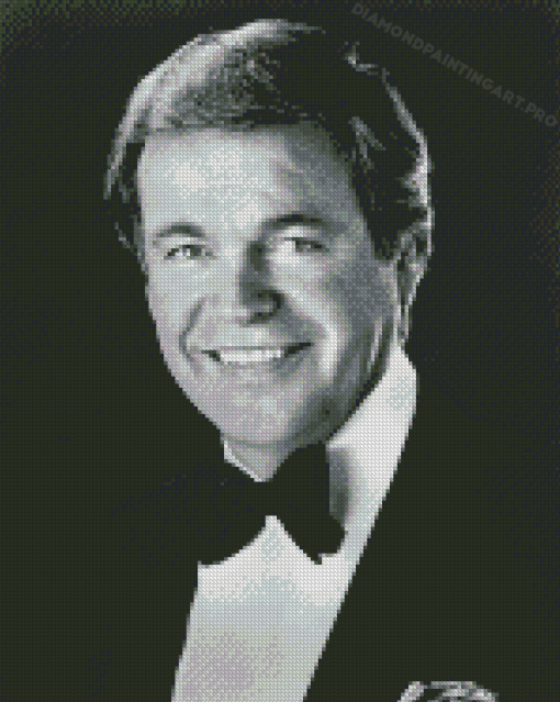 Black And White Actor Robert Wagner Diamond Painting