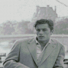 Black And White Alain Delon Diamond Painting