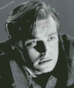 Black And White Young Robert Wagner Diamond Painting