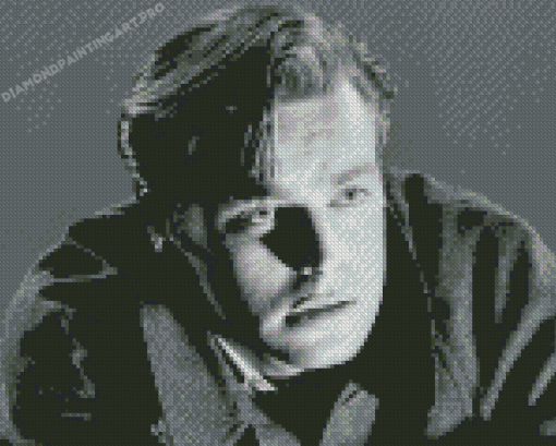 Black And White Young Robert Wagner Diamond Painting