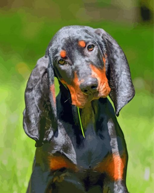 Black And Tan Coonhound Diamond Painting