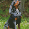 Black And Tan Coonhound Dog Diamond Painting