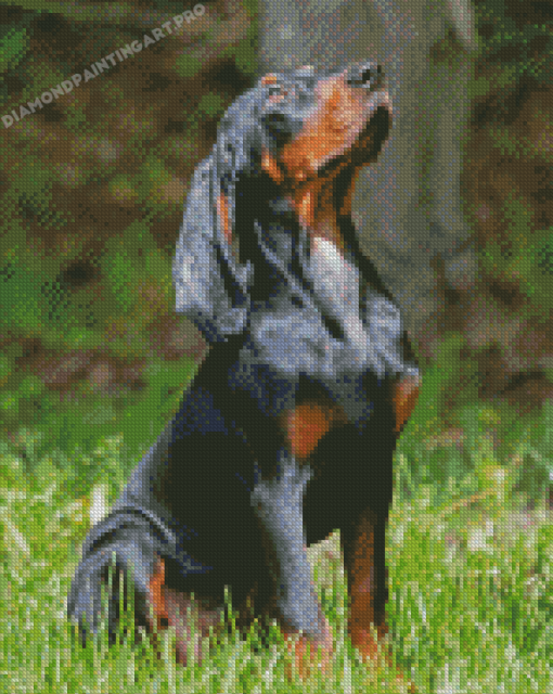 Black And Tan Coonhound Dog Diamond Painting