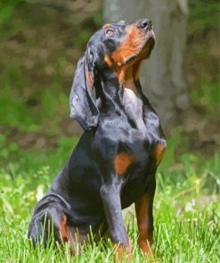 Black And Tan Coonhound Dog Diamond Painting