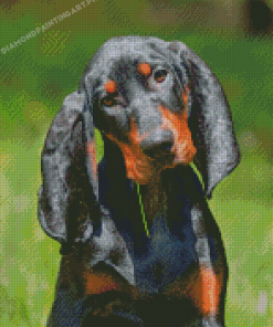 Black And Tan Coonhound Diamond Painting