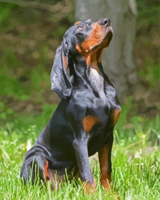 Black And Tan Coonhound Dog Diamond Painting