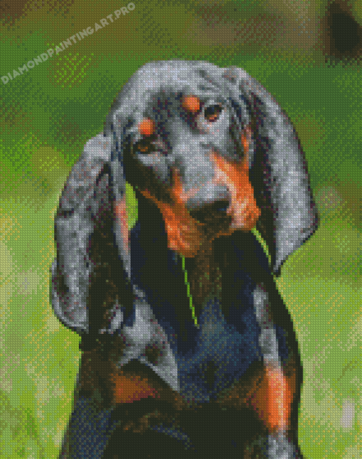 Black And Tan Coonhound Diamond Painting