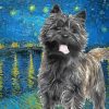 Black Cairn Terrier Dog Art Diamond Painting