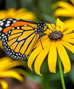 Black Eyed Susan Diamond Painting