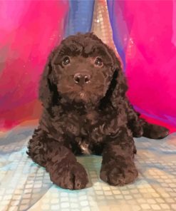 Black Goldendoodle Diamond Painting