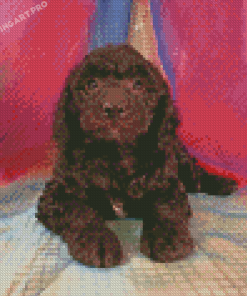 Black Goldendoodle Diamond Painting