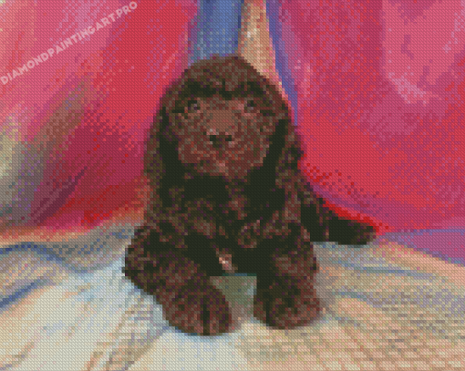 Black Goldendoodle Diamond Painting