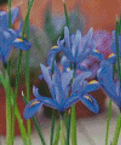 Bloom Blue Irises Diamond Painting