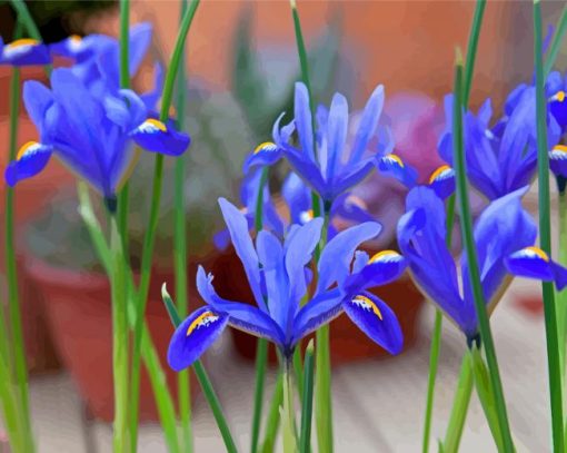 Bloom Blue Irises Diamond Painting