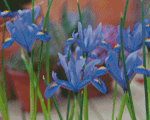 Bloom Blue Irises Diamond Painting