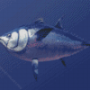 Bluefin Tuna Diamond Painting