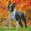 Boston Terrier Diamond Painting