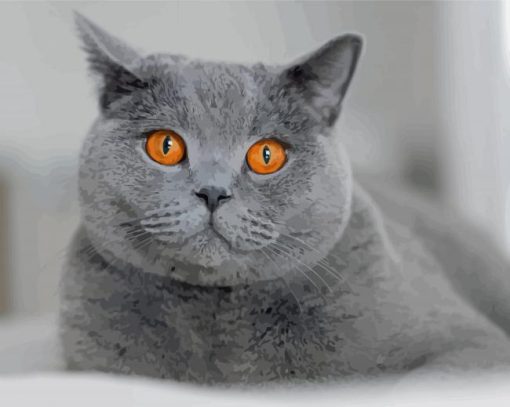 British Shorthair Pet Diamond Painting