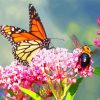 Butterfly And Bee On Pink Flower Diamond Painting