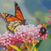 Butterfly And Bee On Pink Flower Diamond Painting