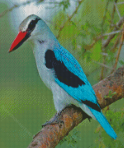 Woodland Kingfisher Diamond Painting