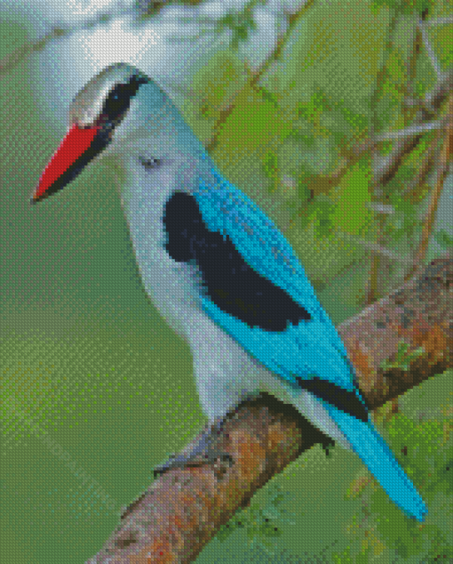 Woodland Kingfisher Diamond Painting