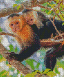 Capuchin Monkey Mother And Baby Diamond Painting