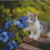 Cat And Flowers Diamond Painting