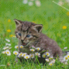 Cat Surrounded By Flowers Diamond Painting