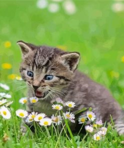 Cat Surrounded By Flowers Diamond Painting