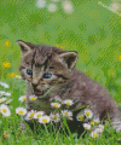 Cat Surrounded By Flowers Diamond Painting