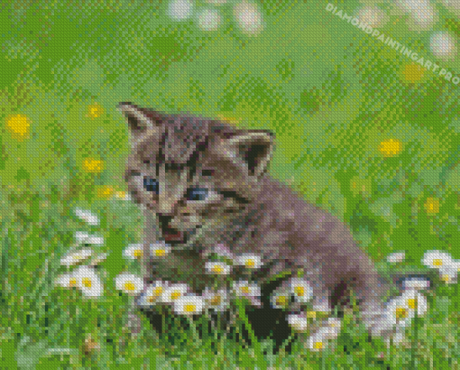 Cat Surrounded By Flowers Diamond Painting