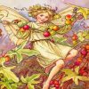 Cicely Mary Barker The White Bryony Fairy Diamond Painting