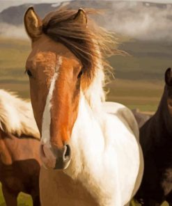 Close Up Icelandic Horses Diamond Painting