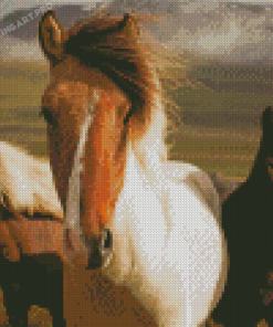 Close Up Icelandic Horses Diamond Painting