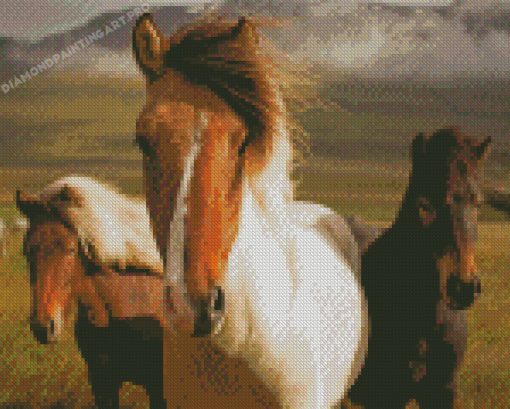 Close Up Icelandic Horses Diamond Painting