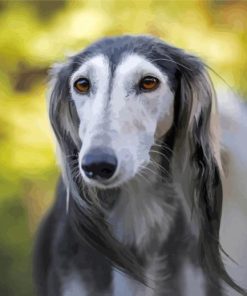 Close Up Saluki Dog Diamond Painting