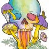 Colorful Mushroom Skull Diamond Painting