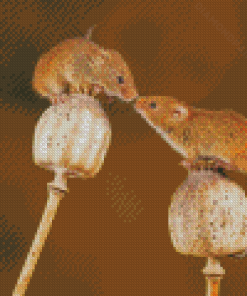 Cute Field Mouses Diamond Painting