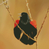 Cute Red Winged Blackbird Diamond Painting