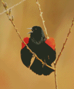 Cute Red Winged Blackbird Diamond Painting