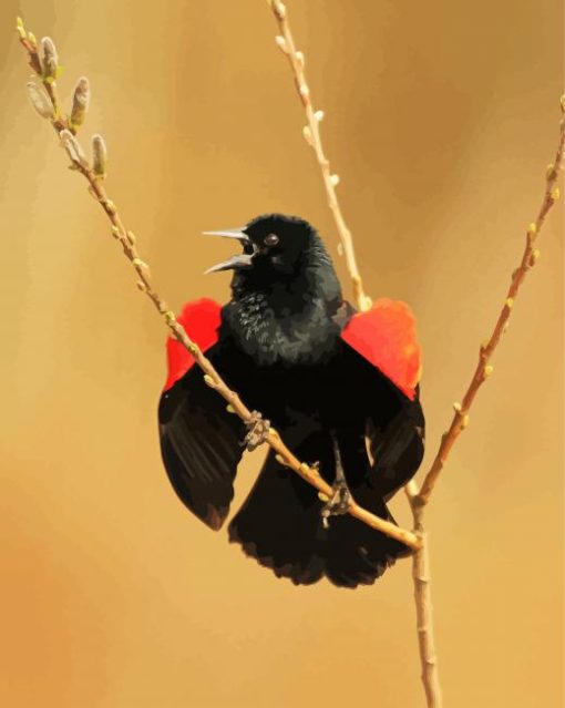 Cute Red Winged Blackbird Diamond Painting