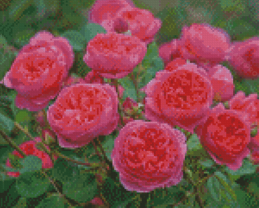 English Roses Flowers Diamond Painting